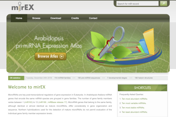 mirEX